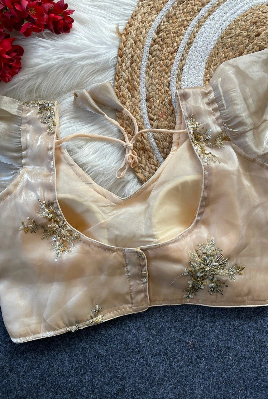 Zimira Organza Embroidered Blouse