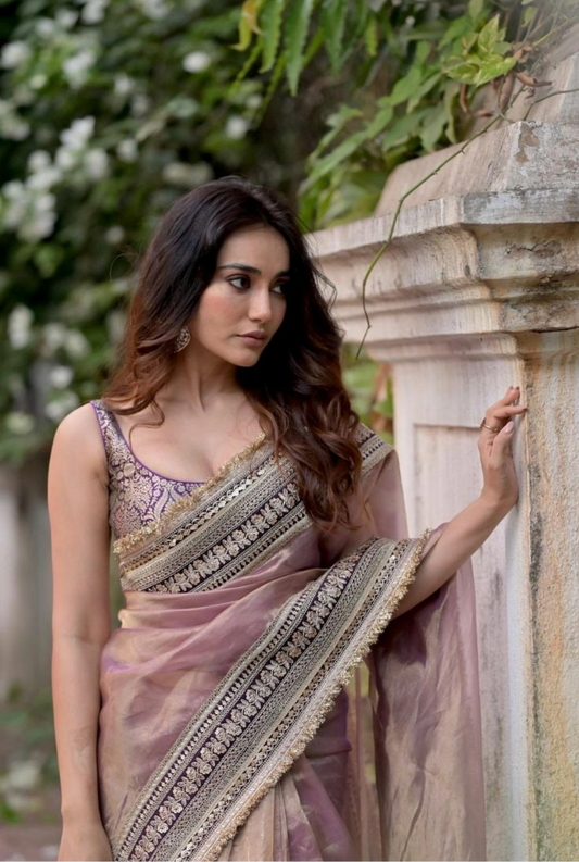 Soft Twill Net Saree with Sequins & Dori Embroidery Border