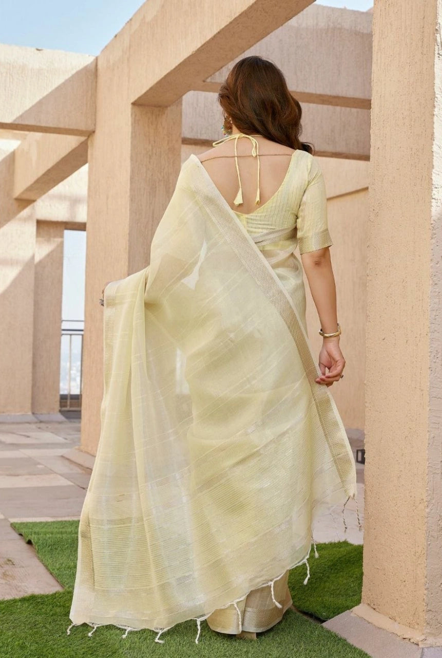 Aarini Tissue Linen Silk Saree