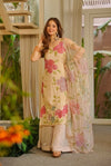 Gulnaar Organza Palazzo Set